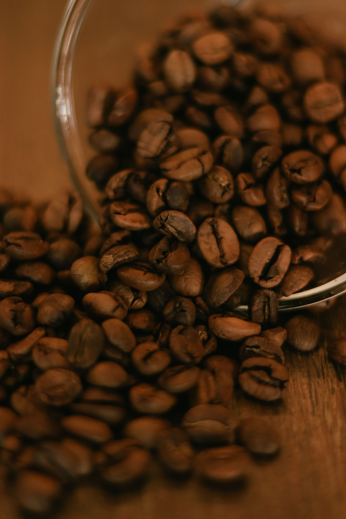 café especial em Grão, torrefação Goá Café